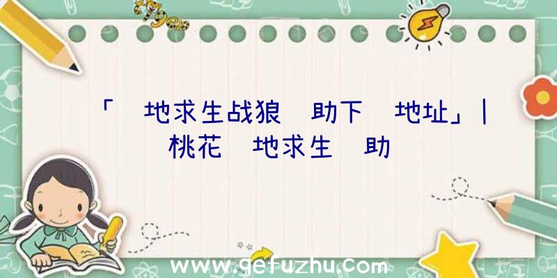 「绝地求生战狼辅助下载地址」|桃花绝地求生辅助